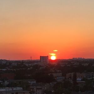 Meet your Posher, Monica